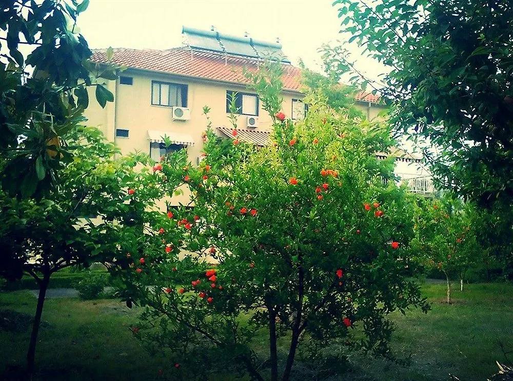 Hotel Viktoria Tirana Mjull-Bathore